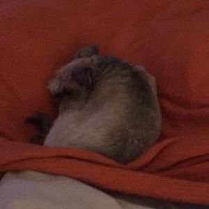 Meet your Posher, Tania